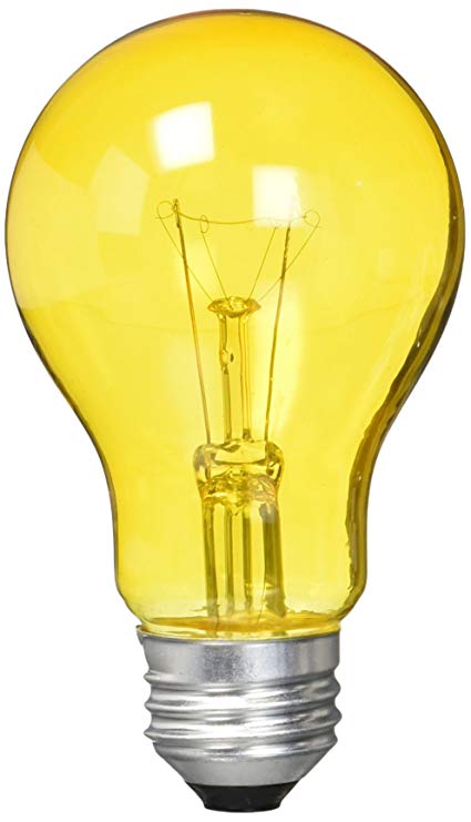 light bulb and oil experiment
