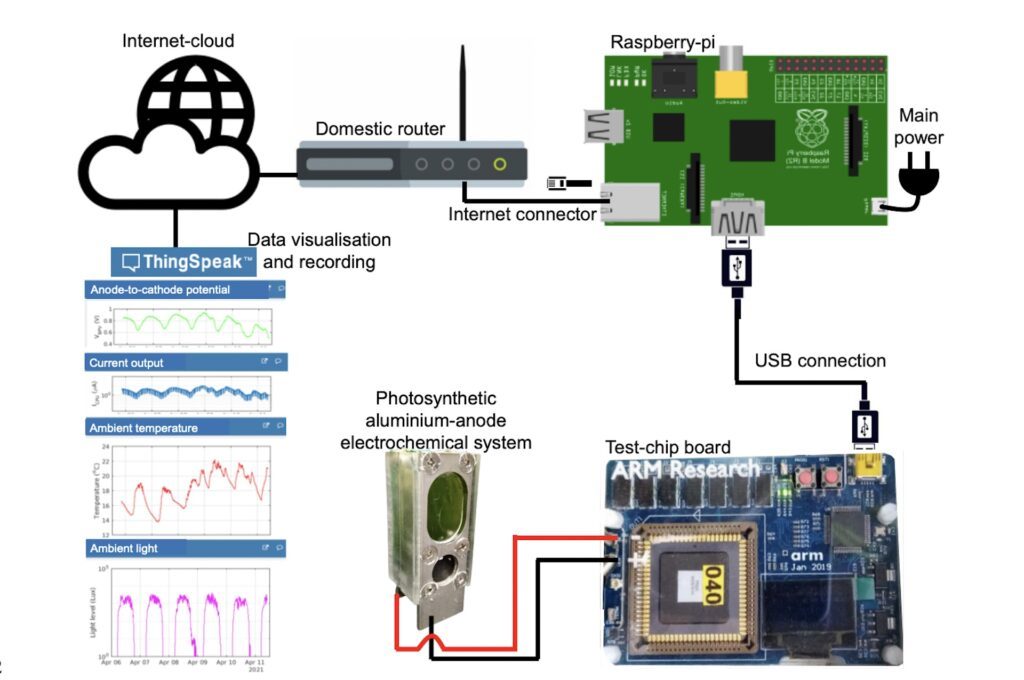 algae powered microprocessor raspberry pie pc controller